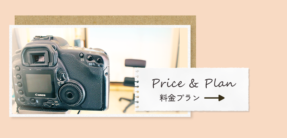 pc_half_banner_price
